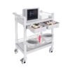 Medical Mobile Trolley Cart 2-Shelf 220 LBS Max Load Rolling Utility Cart Heavy Duty Beauty Salon Storage Cart with Drawers Dirt Buckets Rotate Wheels 2 Brake for Hospital Dental Clinic Home