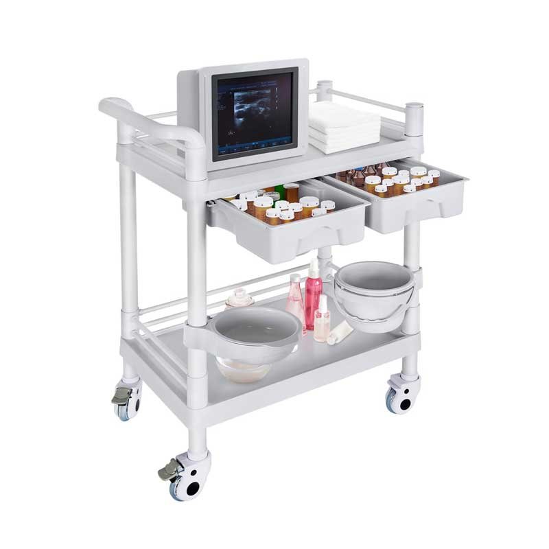 Medical Mobile Trolley Cart 2-Shelf 220 LBS Max Load Rolling Utility Cart Heavy Duty Beauty Salon Storage Cart with Drawers Dirt Buckets Rotate Wheels 2 Brake for Hospital Dental Clinic Home