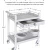 Medical Mobile Trolley Cart 2-Shelf 220 LBS Max Load Rolling Utility Cart Heavy Duty Beauty Salon Storage Cart with Drawers Dirt Buckets Rotate Wheels 2 Brake for Hospital Dental Clinic Home