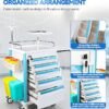 Medical Trolley Cart with Drawers, Hospital Mobile Ultrasound Cart with Trays&4 Silent Swivel Wheels,220 LBS Load Portable Storage Drawer for Hospital, Dental Clinic,Beauty Salon (White/Double drawer)